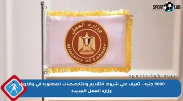 9000 جنيه.. تعرف على شروط التقديم والتخصصات المطلوبة في وظائف وزارة العمل الجديدة